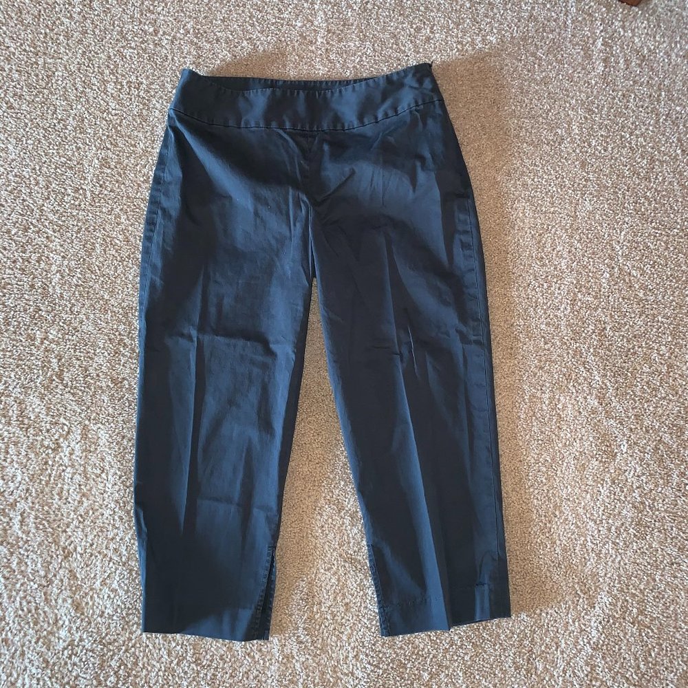 Banana Republic Black Side Zipper Capris